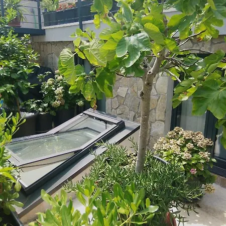 Opatija Studio Garden Oasis By The Beach *