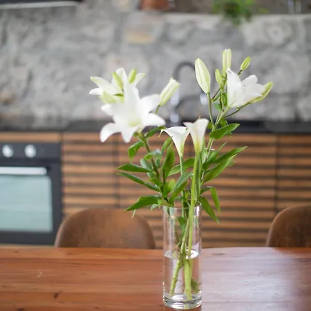Διαμέρισμα Opatija Studio Garden Oasis By The Beach